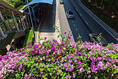 空气变得蕉灼 国外网友制作《霍格沃茨之遗》香蕉君mod